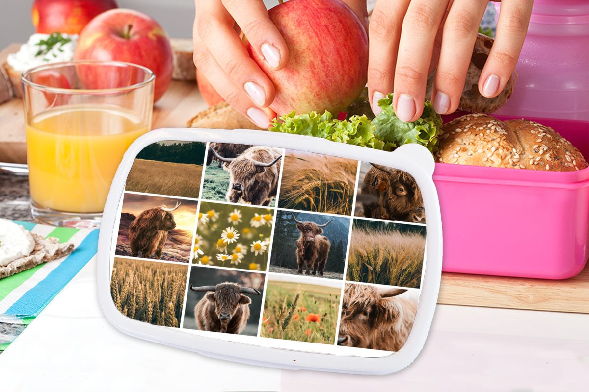 MuchoWow Lunchbox Schottischer - Collage Garten, Kunststoff, Erwachsene, Mädchen, Brotbox für Snackbox, Highlander Kinder, Brotdose rosa - - (2-tlg), Kunststoff Blumen