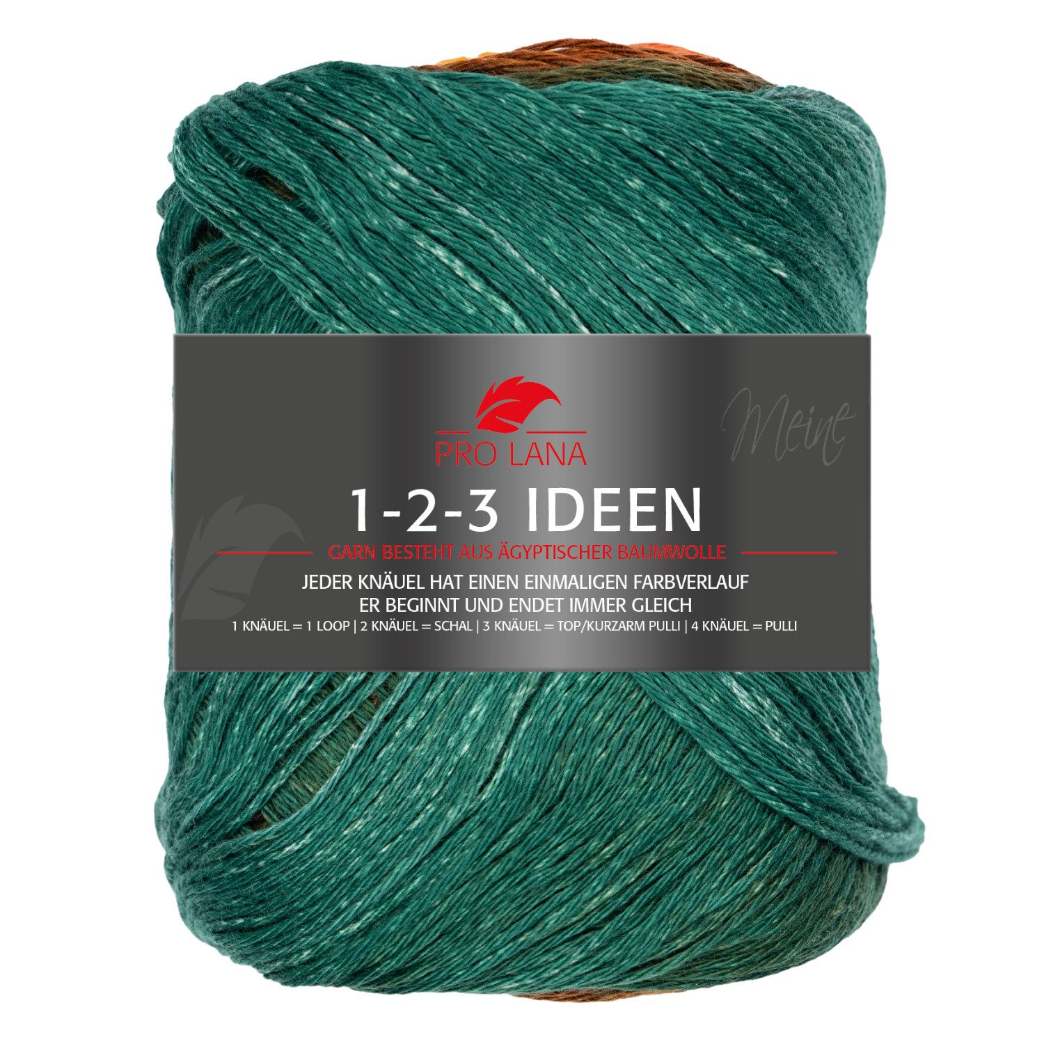 Pro Lana 1-2-3 IDEEN 100 g Häkelwolle, 315 m (Weiches Sommergarn mit frischem einmaligen Farbverlauf), 100 g