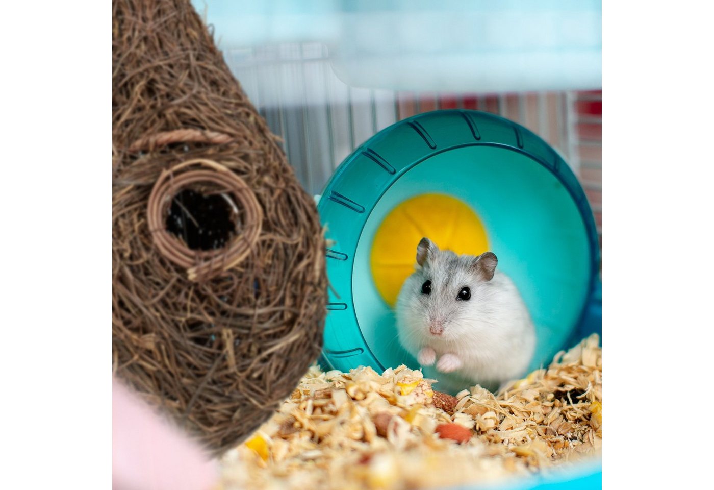 Thumbnail - relaxdays Vogelhaus Vogelnest in Tropfenform