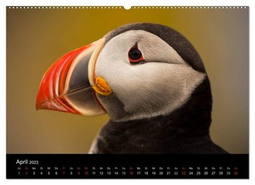 CALVENDO Wandkalender Island - Landschaft und Natur (Premium, hochwertiger DIN A2 Wandkalender 2023, Kunstdruck in Hochglanz)