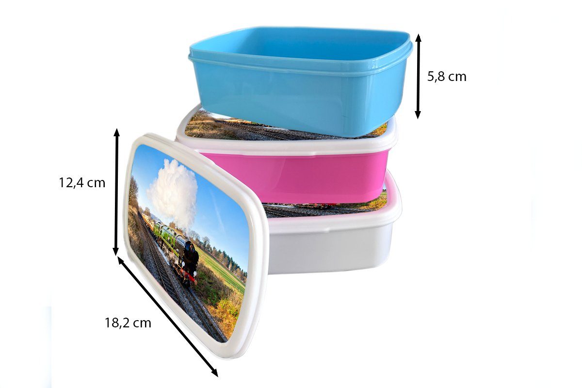 Natur Brotdose Kunststoff Lunchbox (2-tlg), Snackbox, - Mädchen, Brotbox MuchoWow Kinder, Blau, - Erwachsene, rosa Zug Kunststoff, für