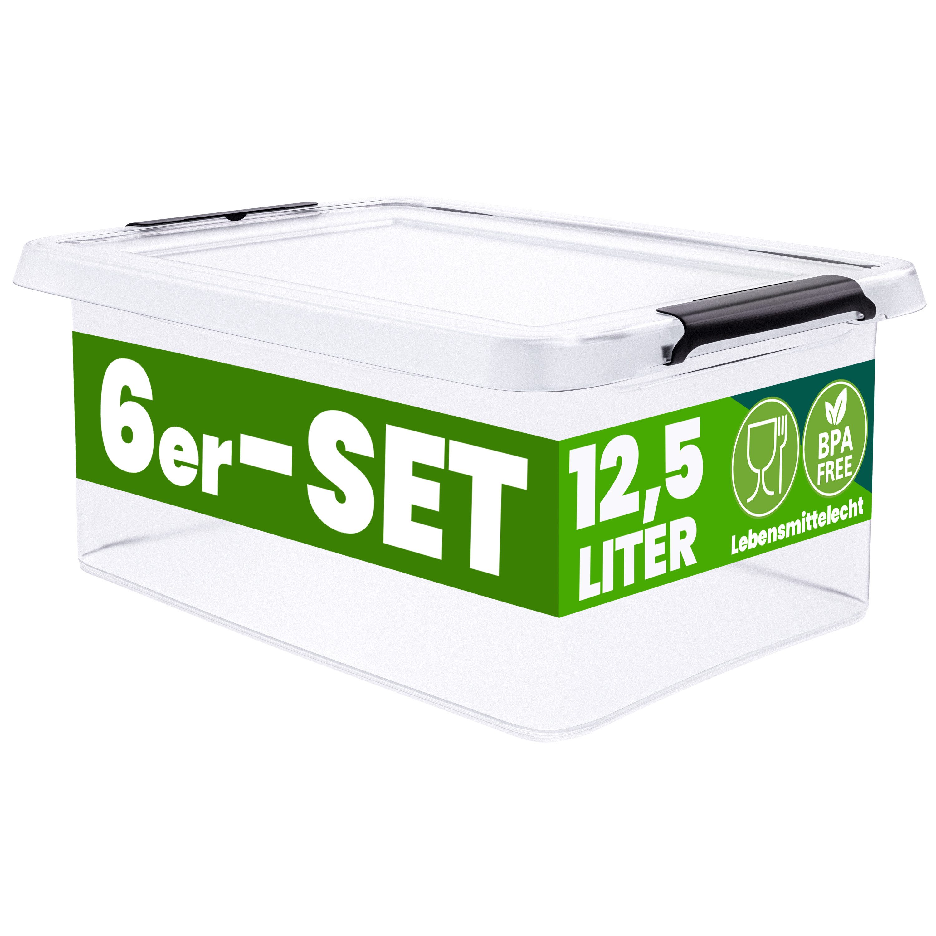 Deuba Aufbewahrungsbox, 12,5L Deckel Kunststoff Organizer Ordnungsboxen BPA frei stapelbar