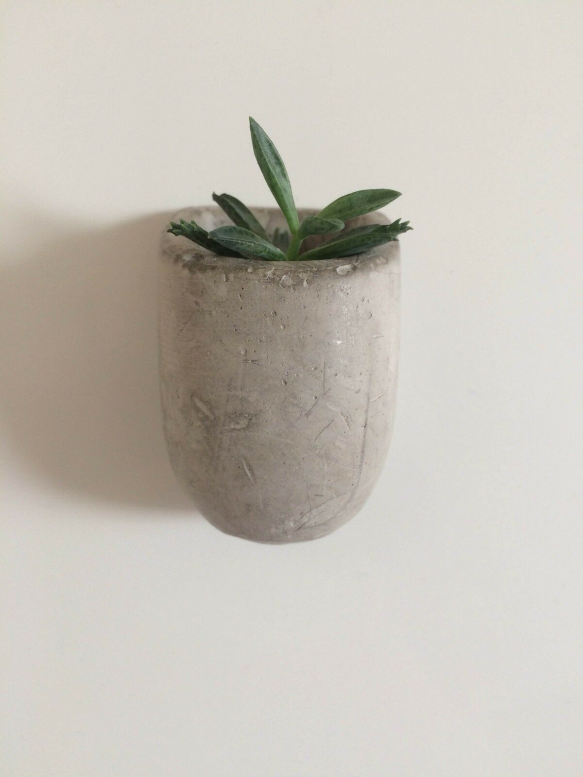 GIFT REPUBLIC Blumentopf Mini Pflanztopf mit Magnet (Set, 3 St., Beton), ca. 3,8 x 3,8 x 6 cm
