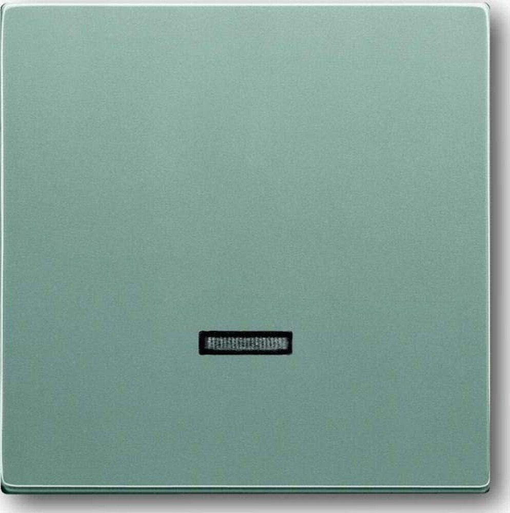 Busch-Jaeger Abdeckrahmen Busch-Jaeger Bedienelement alusi 6543-83-101