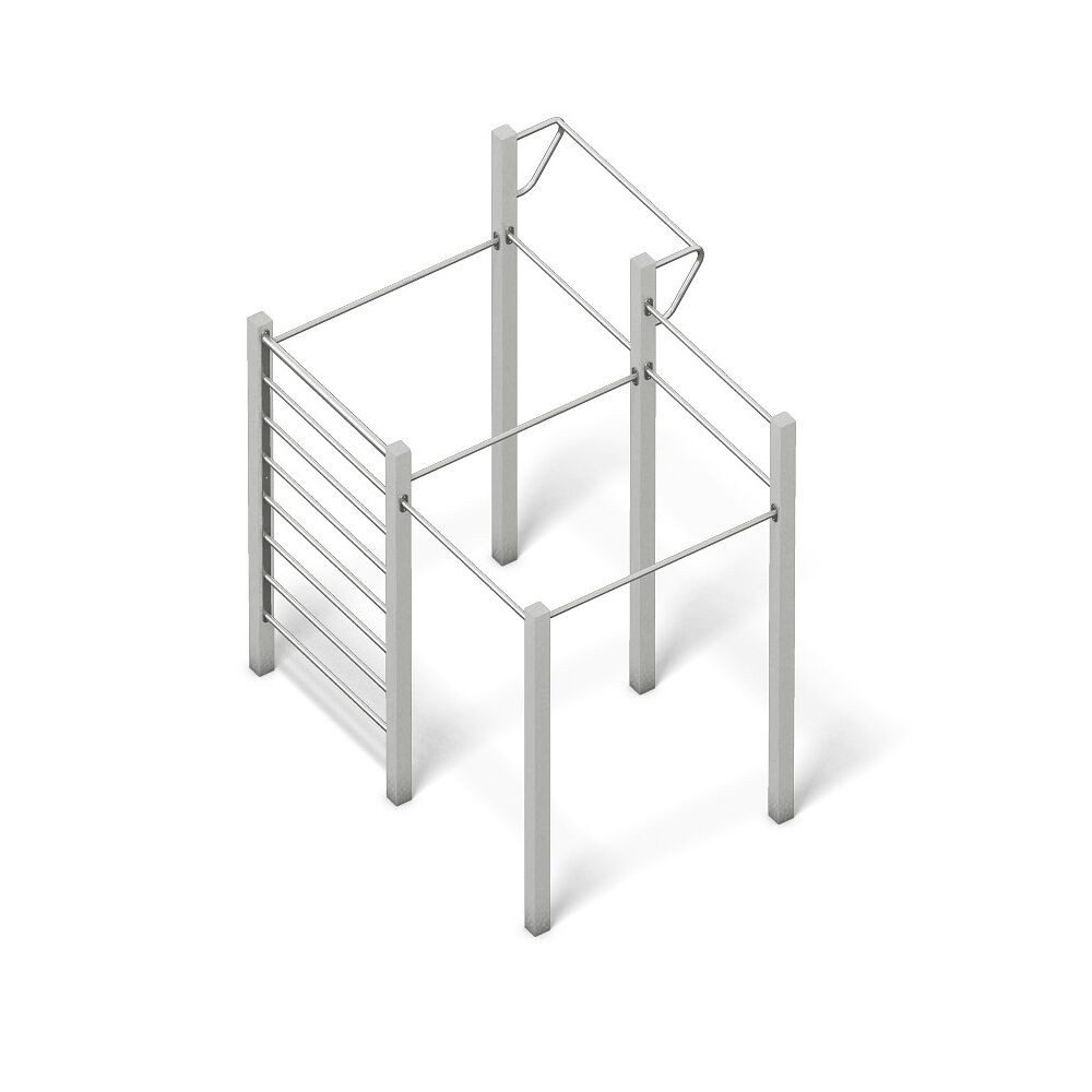 Kraftstation Calisthenics-Anlage Mini 2
