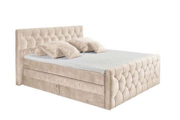 ED EXCITING DESIGN Boxspringliege (180 x 200 cm, Cashfield), Beige