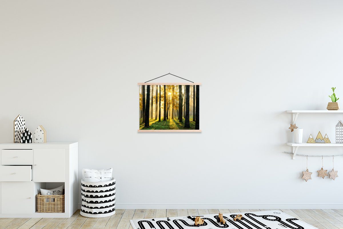 MuchoWow Poster Wald - Sonne - Bäume - Gras - Landschaft - Natur, (1 St), Posterleiste, Textilposter für Wohnzimmer, Bilderleiste, Magnetisch braun | braun