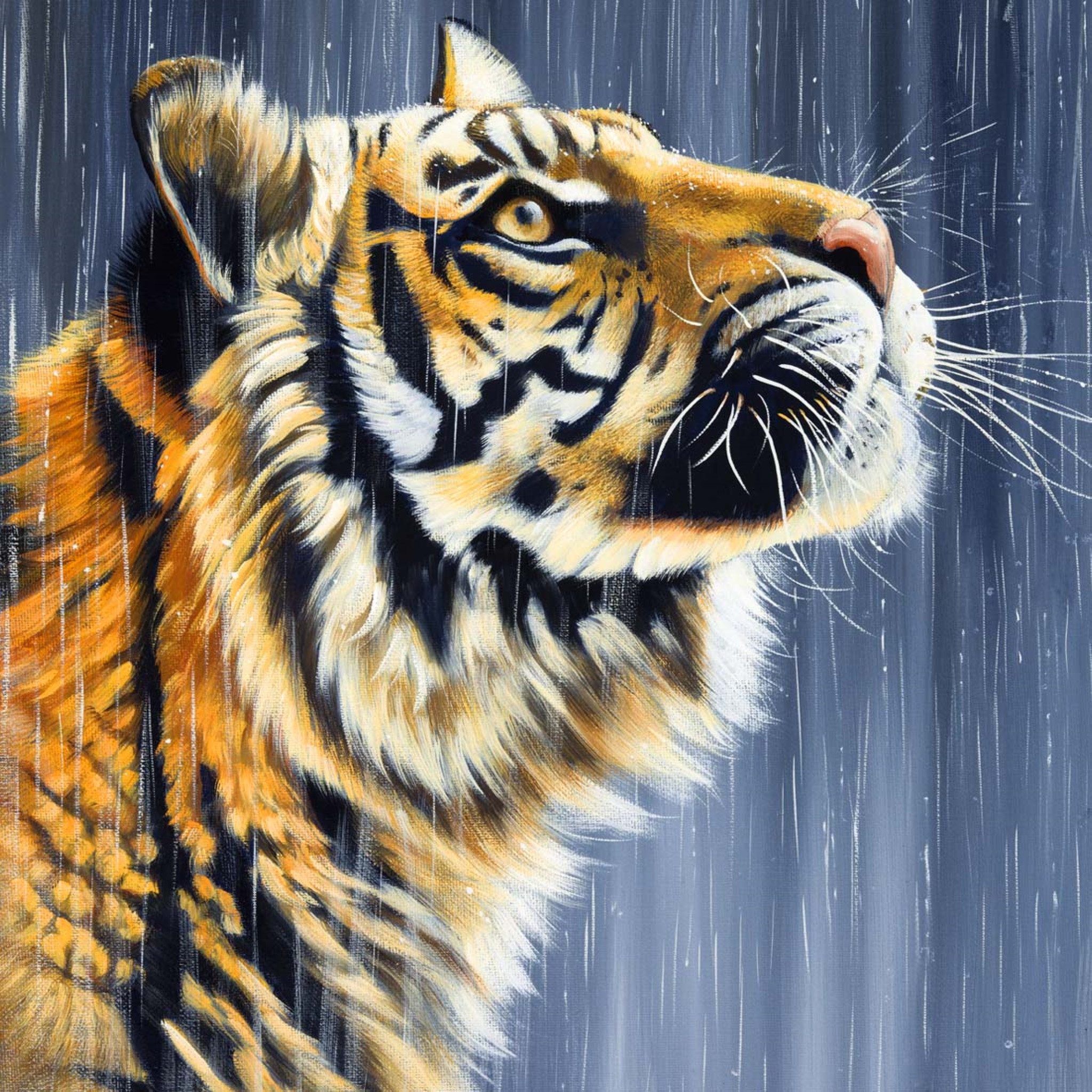 LaCute Malen nach Zahlen 5d Diamond Painting Tiger Malen nach Zahlen 20x20c günstig online kaufen