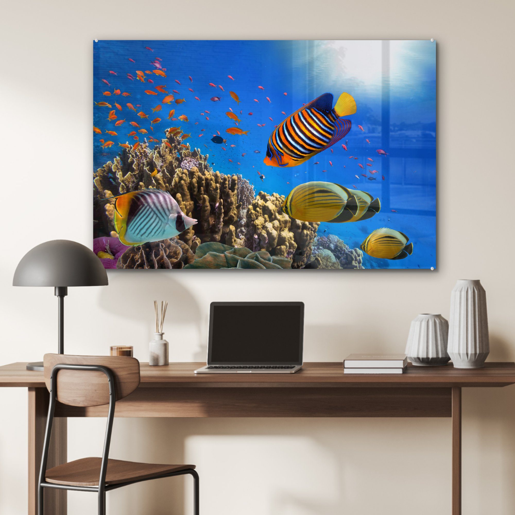 MuchoWow Ägypten, Tropisch - Wohnzimmer Fische Acrylglasbilder - (1 St), & Schlafzimmer Acrylglasbild