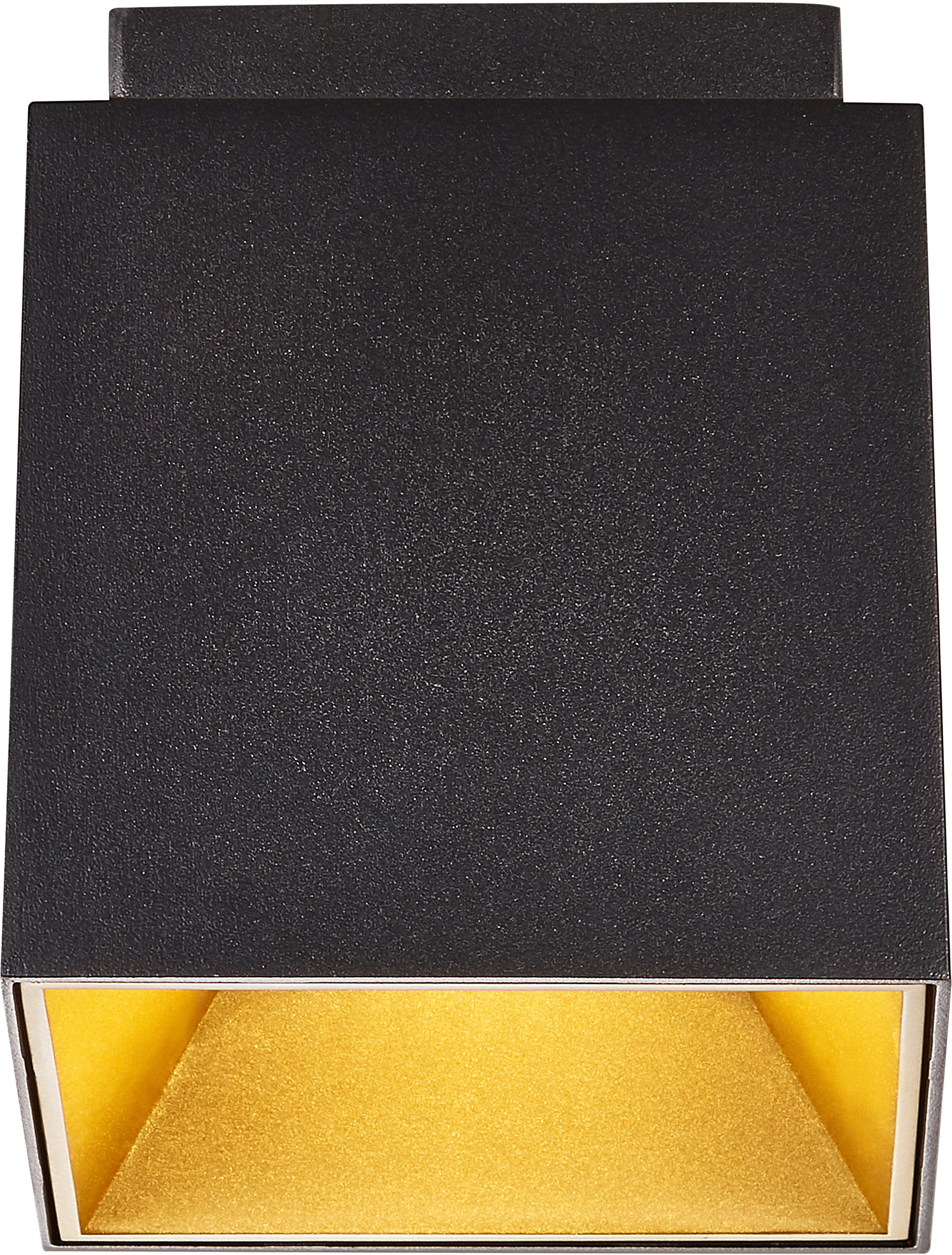 Nordlux Deckenstrahler Ethan, ohne Leuchtmittel, wechselbares Standard GU10 Leuchtmittel, nicht enthalten