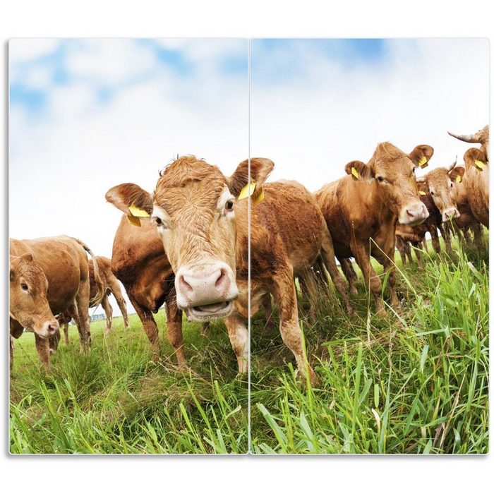 Wallario Herd-Abdeckplatte Kühe im Sommer auf der Weide ESG-Sicherheitsglas (Glasplatte 2 tlg. inkl. 5mm Noppen) verschiedene Größen