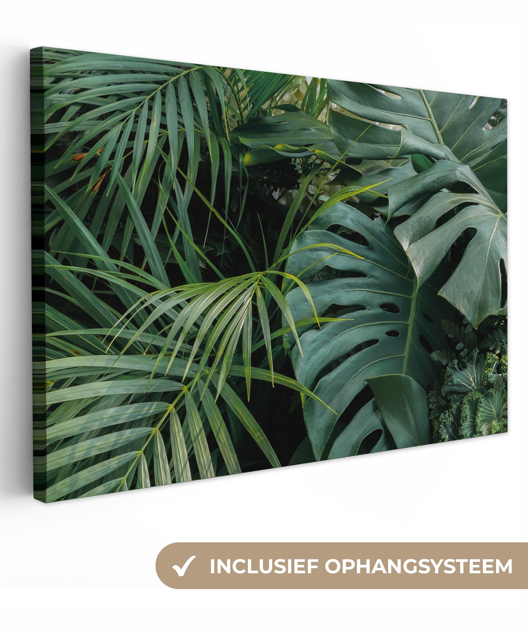 OneMillionCanvasses® Leinwandbild Pflanzen - Dschungel - Blätter - Tropisch, Fotodruck (1 St), Leinwand Bilder Klein, Wand Dekoration Aesthetic 30x20 cm