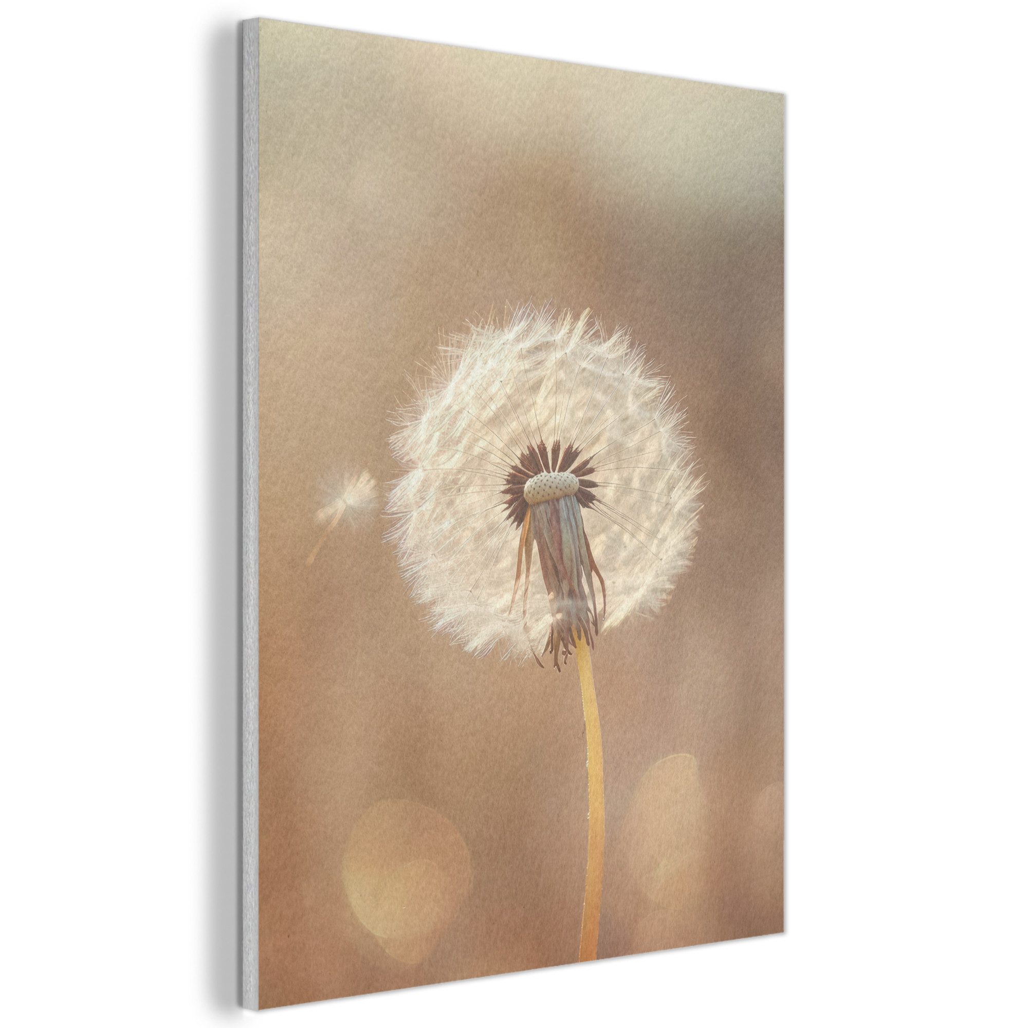MuchoWow Gemälde Löwenzahn - Beige - Natur - Blume, Fotodruck (1 St), Akustikpaneele, Wandpaneele, Schalldämmung, Akustikbilder 30x40 cm