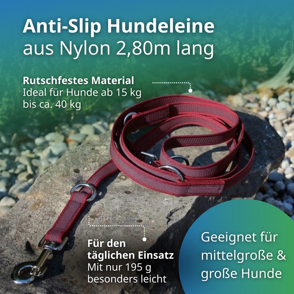 Activity4Dogs Hundeleine für große Hunde, Anti-Slip, 3 m lang, 4-fach verstellbar, TESTSIEGER, rutschfest, Nylon, sehr gut bei Regenwetter, Made in Germany – Bild 3 von 5