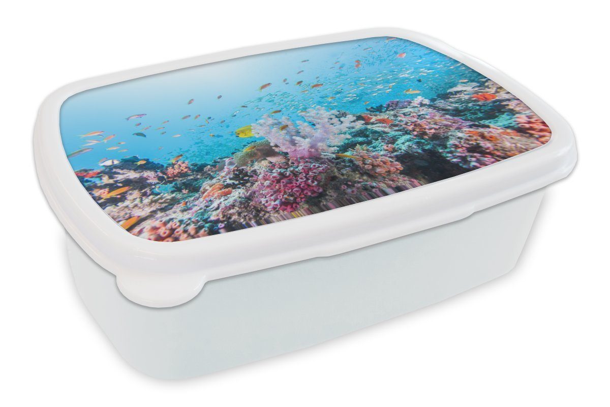 MuchoWow Lunchbox Fische - Koralle - Farben, Kunststoff, (2-tlg), Brotbox für Kinder und Erwachsene, Brotdose, für Jungs und Mädchen weiß