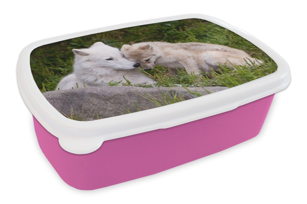 MuchoWow Lunchbox für Kinder, Wolf Mädchen, Snackbox, Brotbox Brotdose Kunststoff - (2-tlg), Kunststoff, Welpe Gras, rosa - Erwachsene