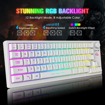 ZIYOU LANG RGB-Hintergrundbeleuchtung Tastatur- und Maus-Set, Die ergonomische Tastenhöhe reduziert Ermüdung,19-Tasten Anti-Ghosting