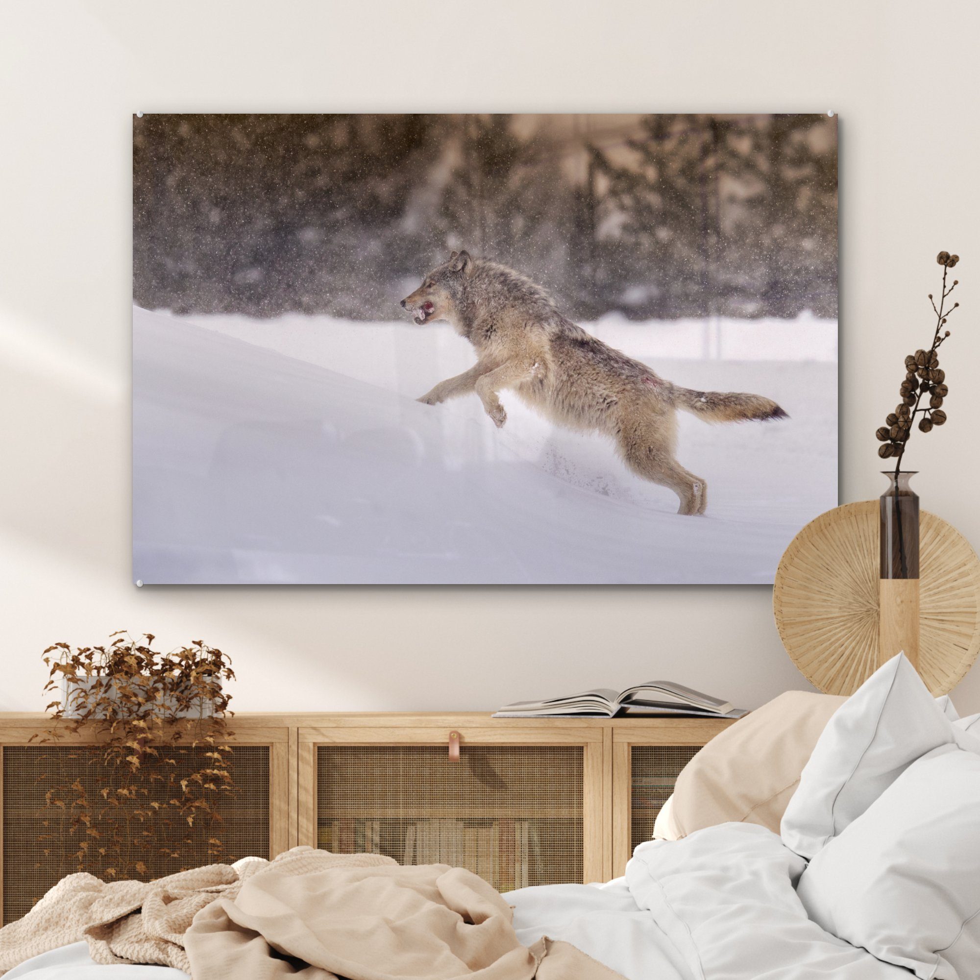 St), Acrylglasbild Wolf Wohnzimmer im Acrylglasbilder Schlafzimmer läuft & Schnee, MuchoWow (1
