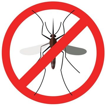 Raid Insektenfalle 5x Raid Mücken Stecker Nachfüller für ca. 45 Nächte Mückenfrei