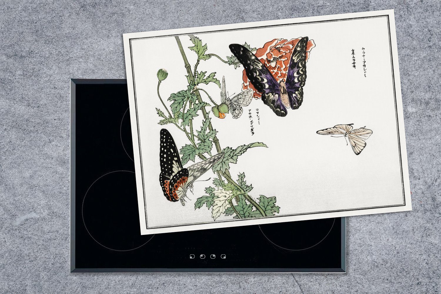 tlg), Herdblende-/Abdeckplatte nutzbar, Mobile Vinyl, Blume, MuchoWow - (1 Ceranfeldabdeckung Schmetterling - 70x52 Arbeitsfläche cm, Japan