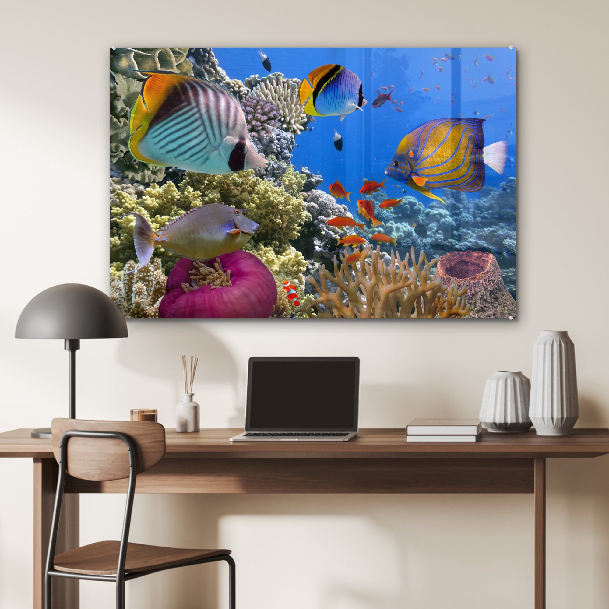 (1 Wasser Fische, Schwimmen & Acrylglasbilder St), Wohnzimmer - - MuchoWow Acrylglasbild Schlafzimmer
