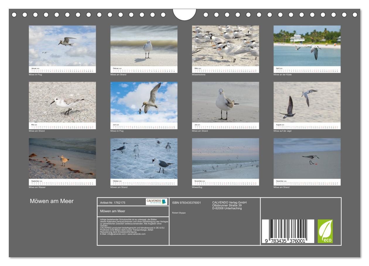 Thumbnail - CALVENDO Wandkalender Möwen am Meer (Wandkalender 2025 DIN A4 quer), CALVENDO Monatskalender