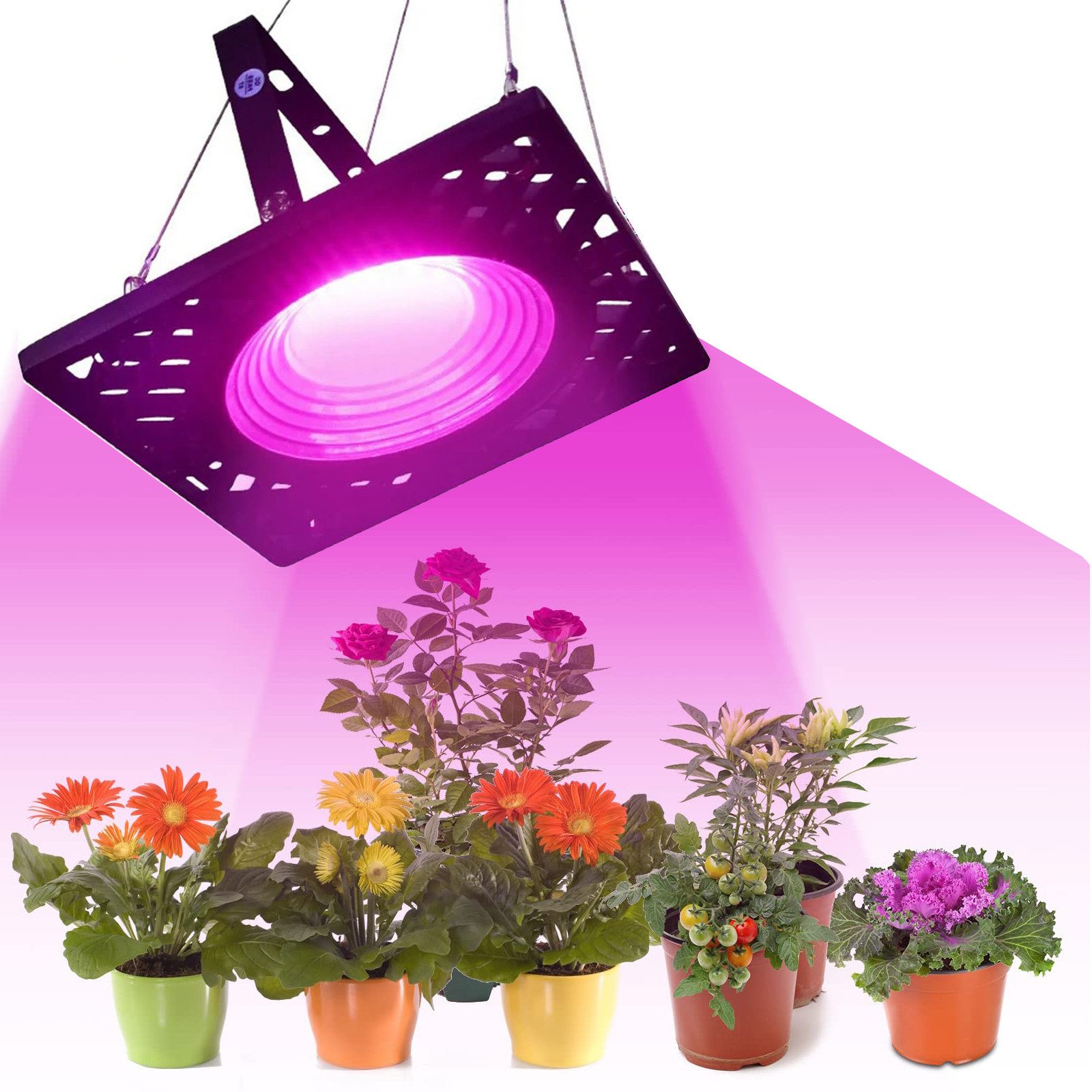 Jibenhome Pflanzenlampe 72LED Vollspektrum Wachstumslicht 50W Pflanzenlicht mit Kühlgebläse, IP66 Wasserdicht, 1 Stück, Grow Lampe für Zimmerpflanzen Sämlinge, blühendes Obst, Gemüse