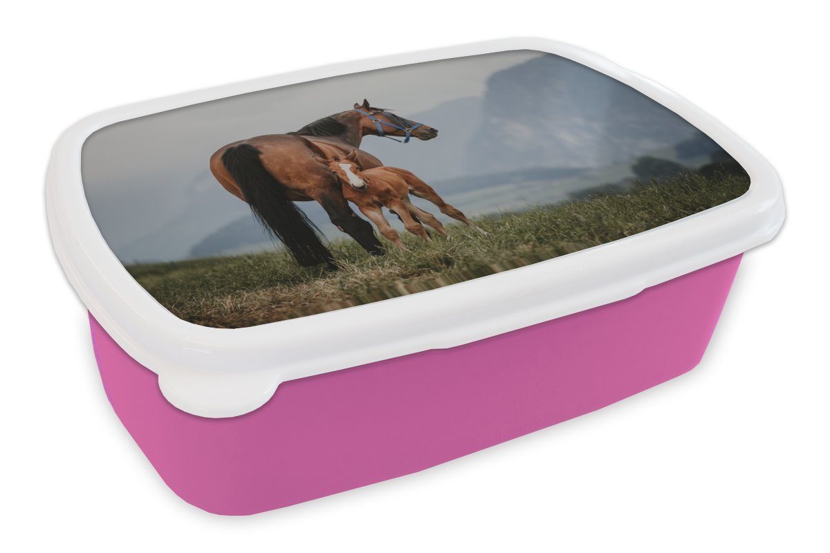 MuchoWow Lunchbox Pferd - Fohlen - Berg, Kunststoff, (2-tlg), Brotbox für Erwachsene, Brotdose Kinder, Snackbox, Mädchen, Kunststoff rosa | Lunchboxen