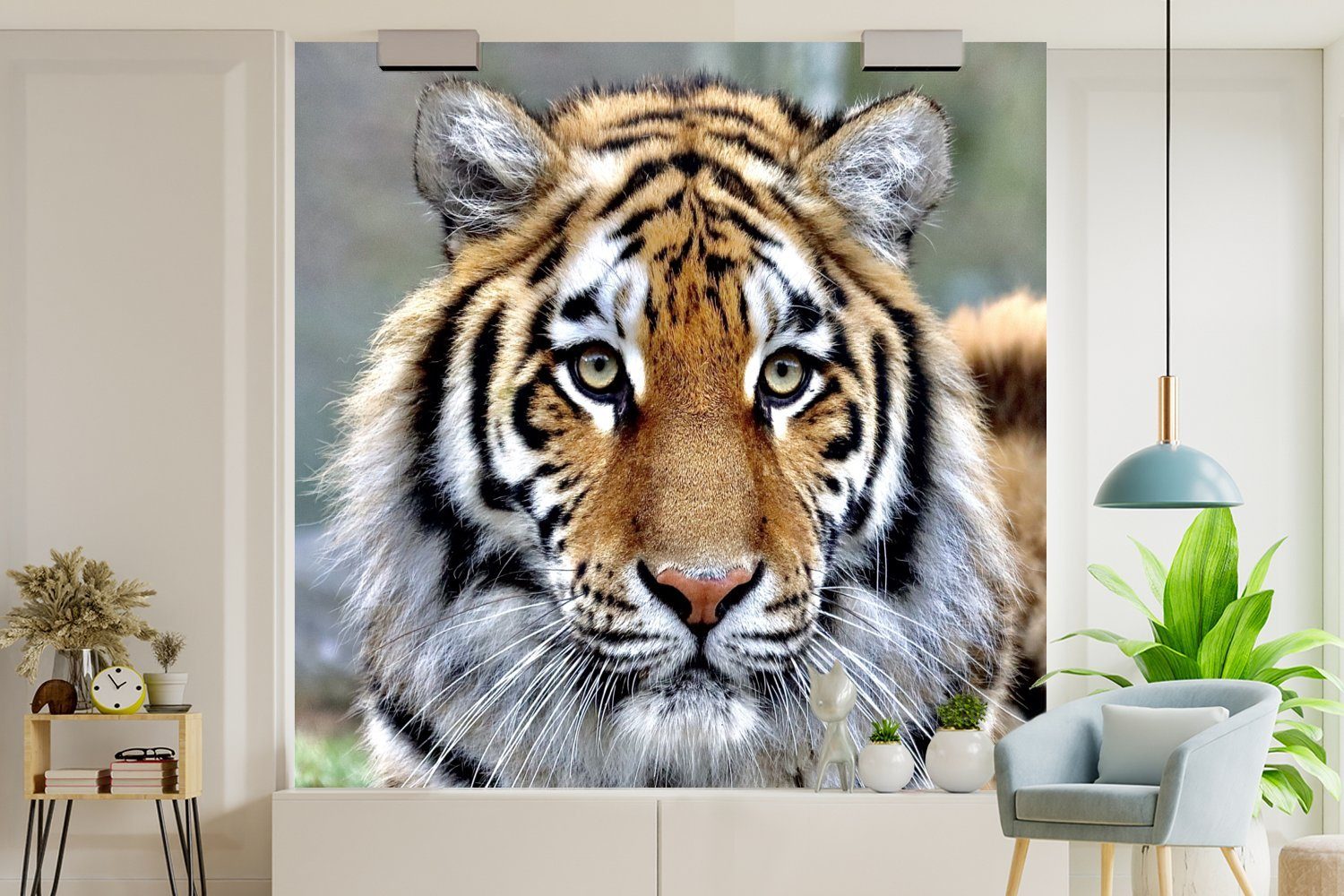 (5 für Tiger Tapete Wandtapete Wohnzimmer Tiere, Vinyl Schlafzimmer, Matt, Fototapete St), Jung bedruckt, oder - MuchoWow -