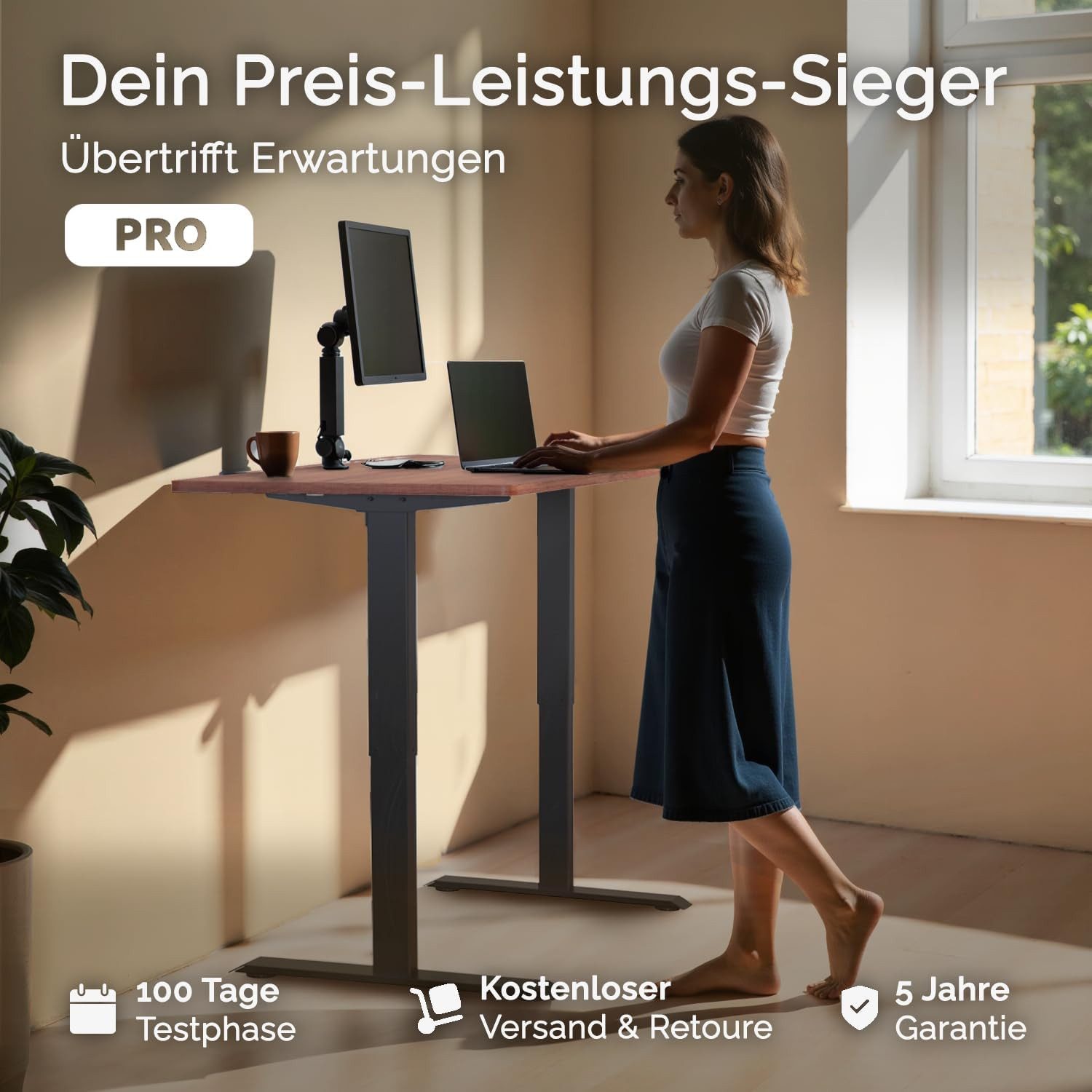 DESKSPACE Schreibtisch Pro Elektrisch höhenverstellbarer Schreibtisch - inklusive Tischplatte (Komplettset inkl. Tischplatte und Gestell), Ergonomischer Stehpult mit Memory Funktion & Kollisionsschutz