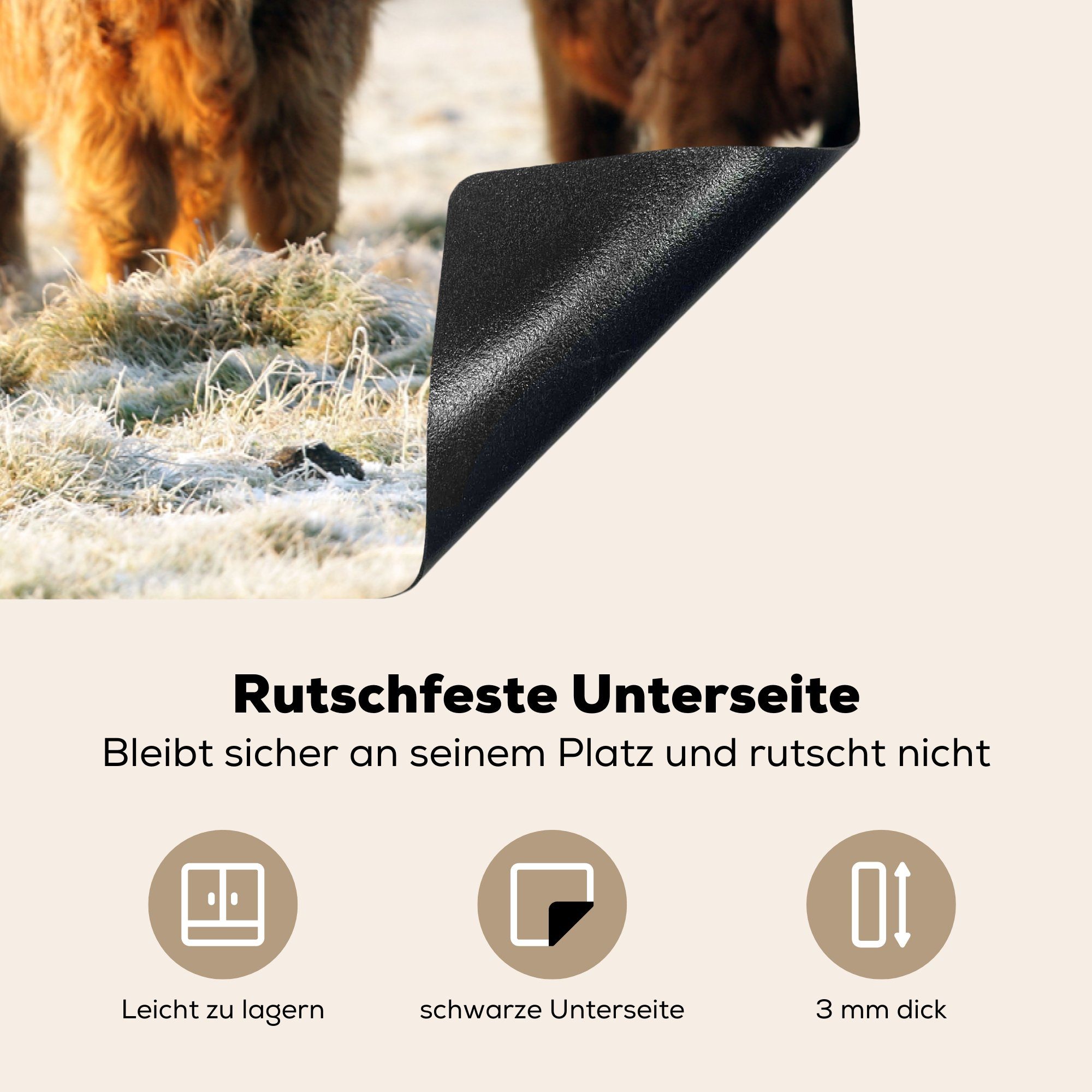 MuchoWow Herdblende-/Abdeckplatte Schottische Highlander Induktionskochfeld Ceranfeldabdeckung (1 Vinyl, tlg), die cm, 81x52 - Schnee - küche, Schutz Wald, für