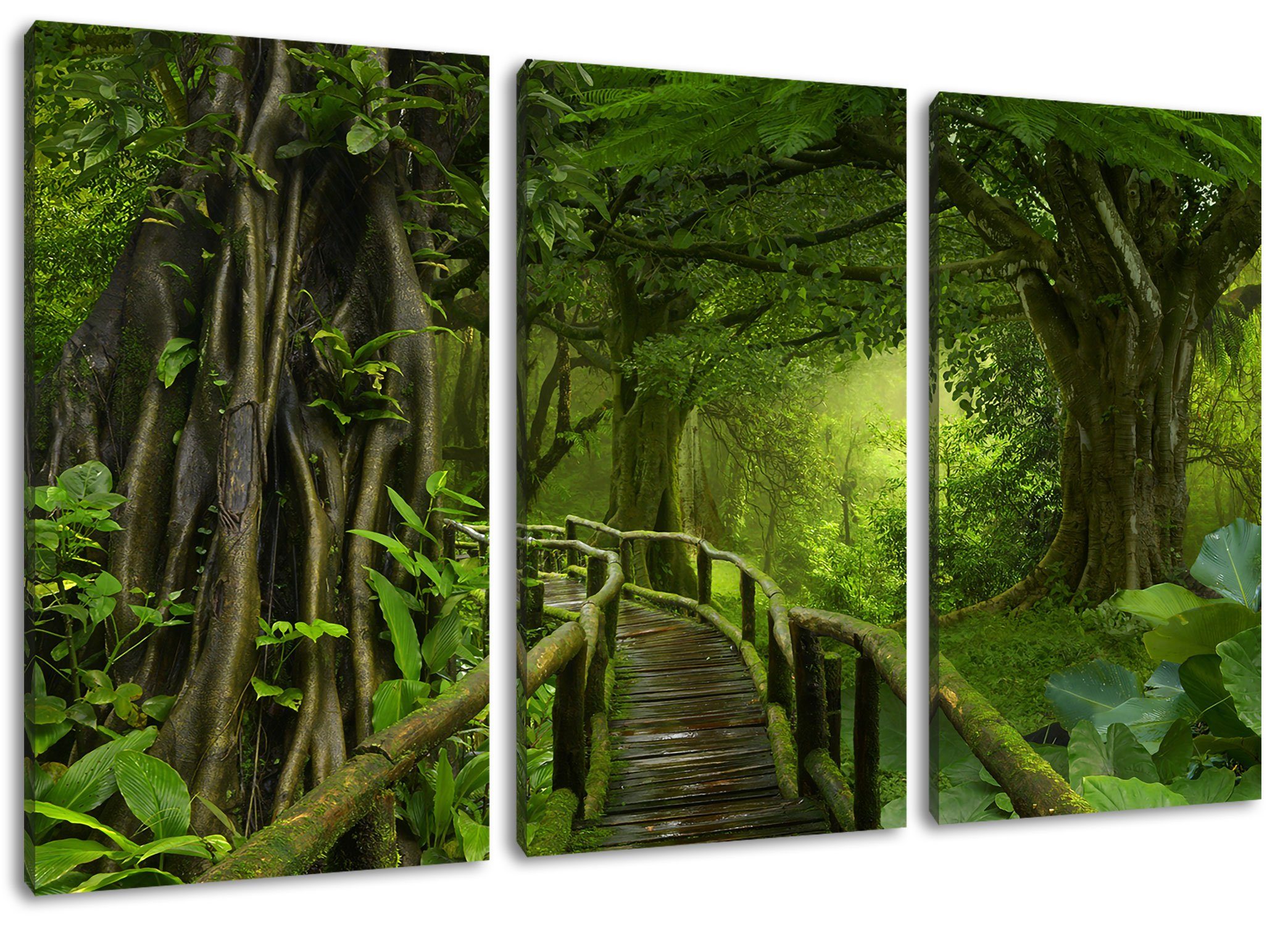 Pixxprint Leinwandbild Weg Leinwandbild durch bespannt, (120x80cm) durch inkl. Tropenwald fertig den Tropenwald, den Weg (1 Zackenaufhänger St), 3Teiler