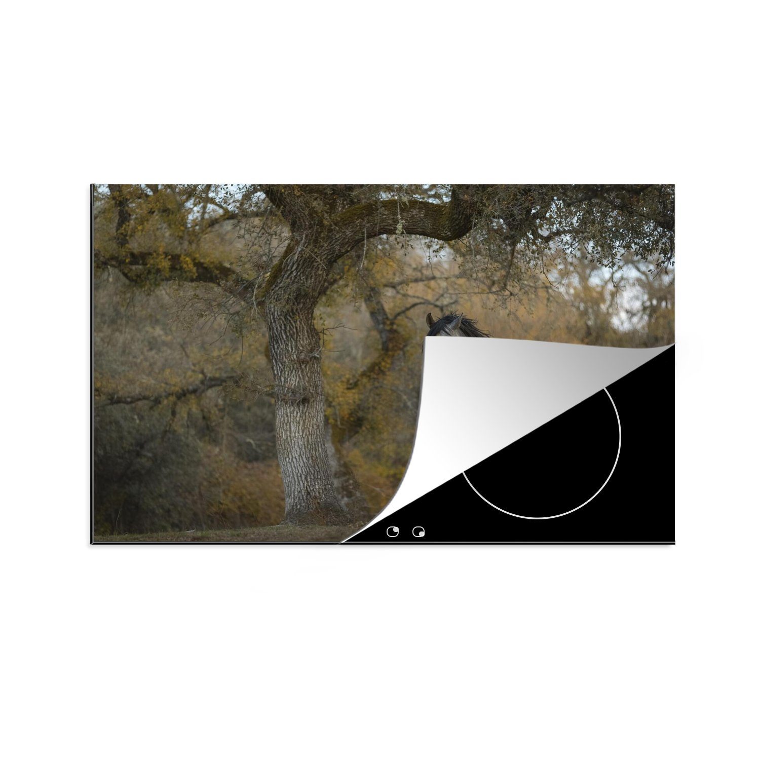 MuchoWow Herdblende-/Abdeckplatte Pferd - Baum - Herbst - Andalusier, Vinyl, (1 tlg), 81x52 cm, Induktionskochfeld Schutz für die küche, Ceranfeldabdeckung