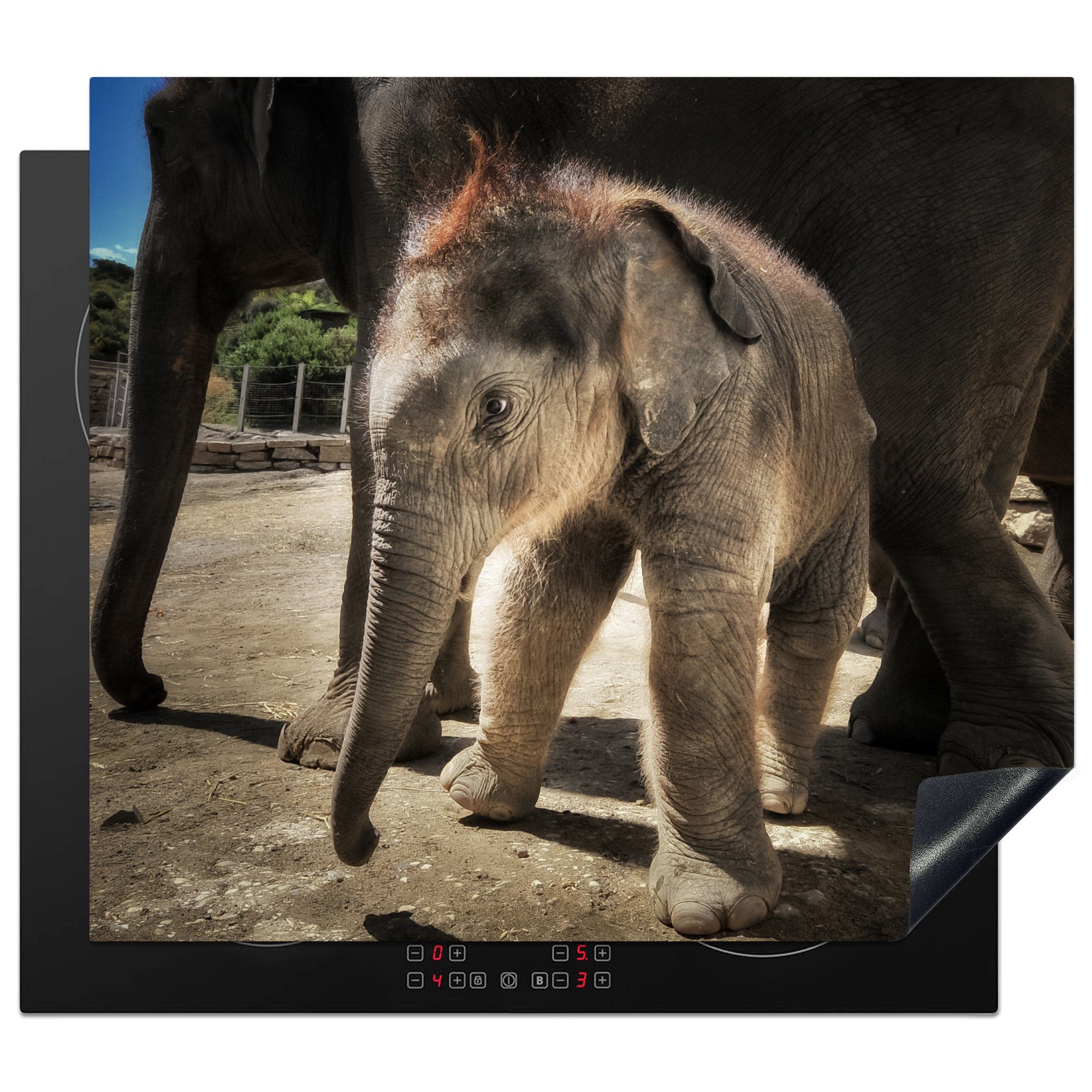 MuchoWow Herdblende-/Abdeckplatte Baby-Elefant mit seiner Mutter - Jungen - Mädchen - Kinder - Kind, Vinyl, (1 tlg), 59x52 cm, Ceranfeldabdeckung für die küche, Induktionsmatte