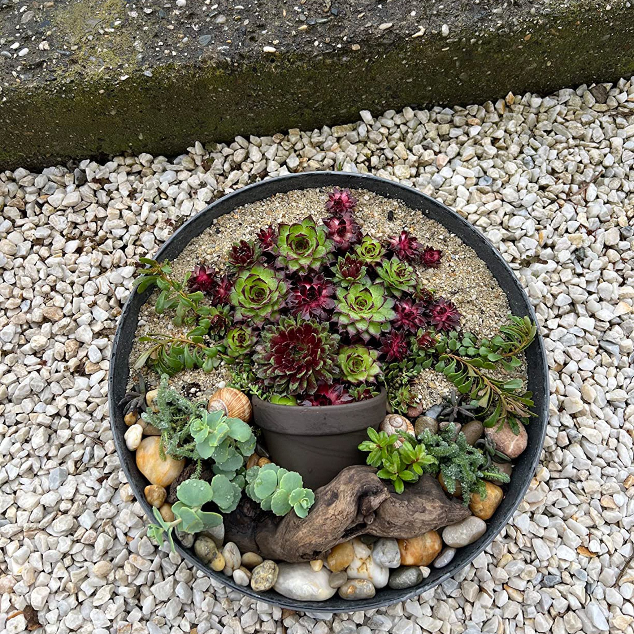 matches21 HOME & HOBBY Blumentopf Runde bauchige 20 cm Pflanzschale für draussen, hell-grau marmoriert (1 St), Wetterfeste Blumen-Schale als moderne Gartendeko Grabschmuck