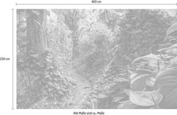 Komar Vliestapete Path of Dreams, (1 St), 400x250 cm (Breite x Höhe), Vliestapete, 100 cm Bahnbreite