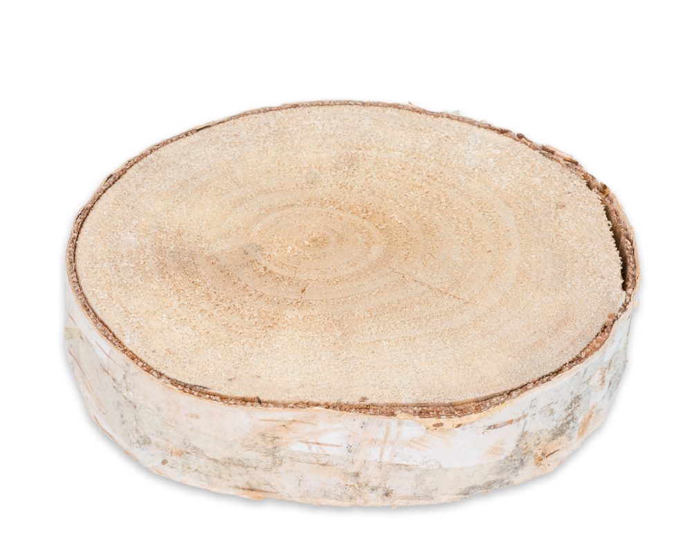 NaDeco Bastelnaturmaterial Birkenscheibe Ø10-15cm x 2cm