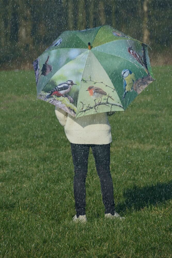 esschert design Stockregenschirm Regenschirm mit Vogel Motiven, automatischer Öffnungsmechanismus – Bild 4 von 4