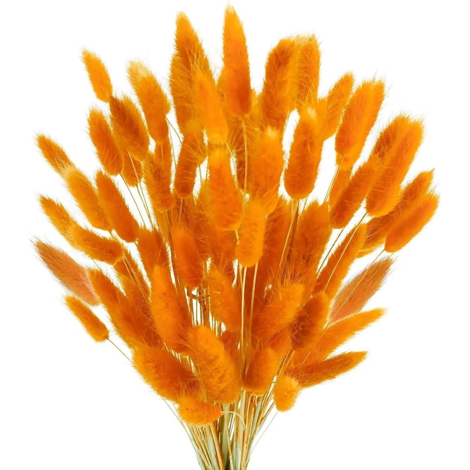 Trockenblume Pampasgras Deko Trockenblumen 120 Stk., LuxusKollektion, Höhe 15 cm