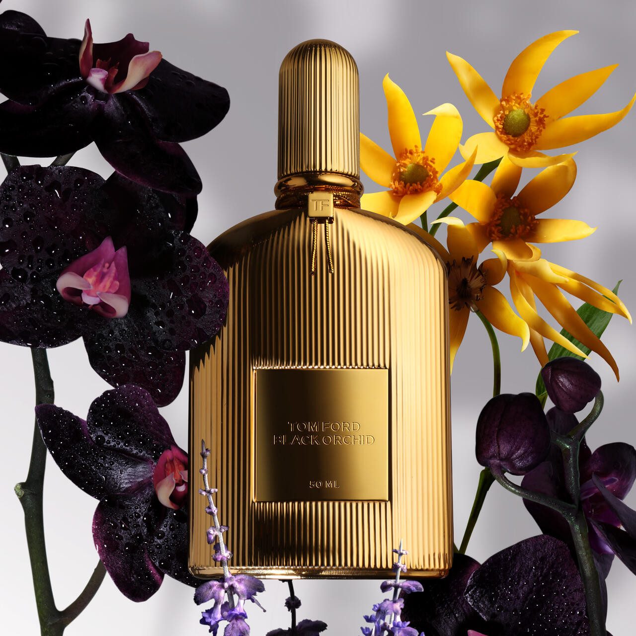 Tom Ford Eau de Parfum Black Orchid Parfum, Damenduft, blumig, Amber