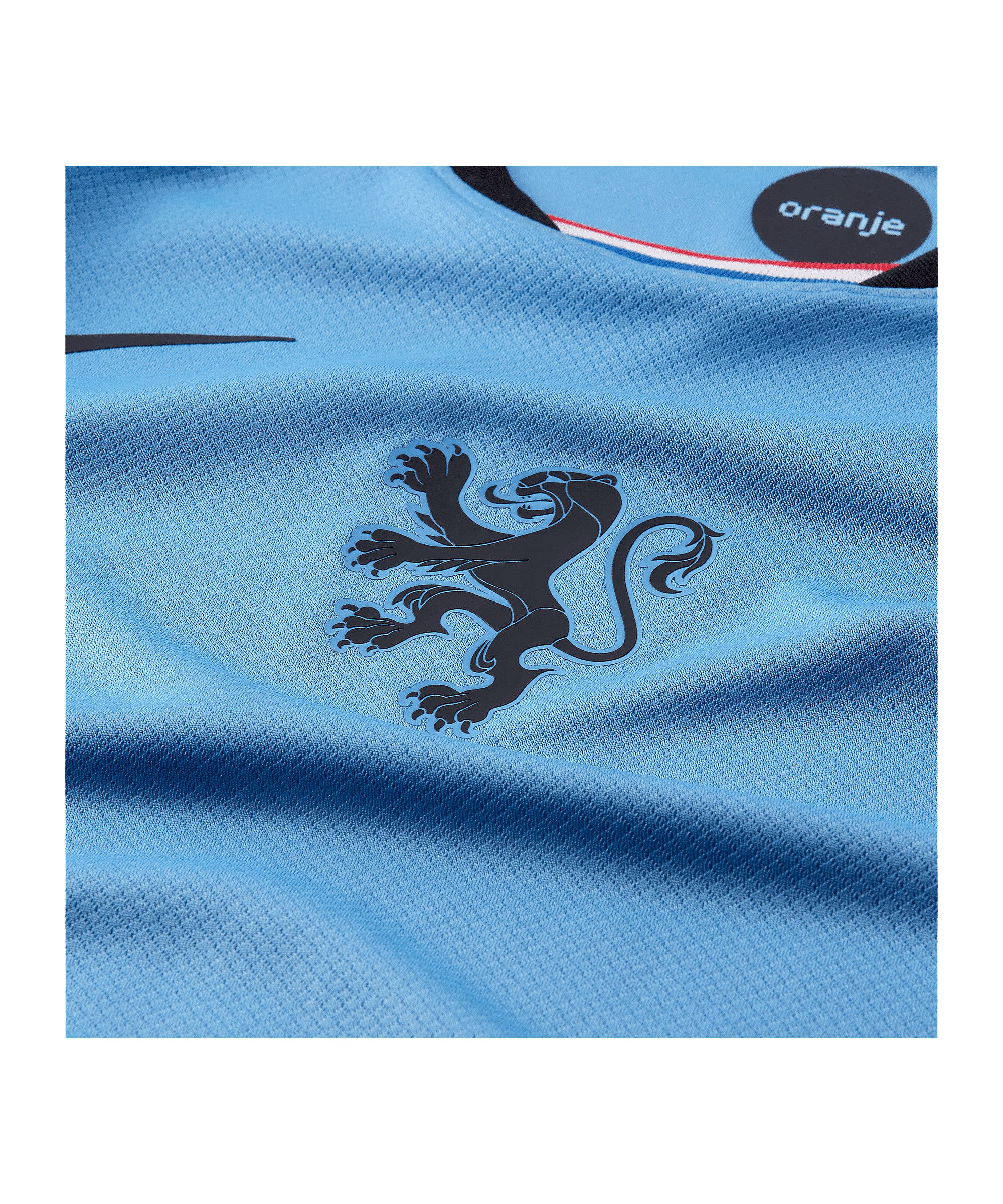Nike Fußballtrikot Nike Performance Teamsport