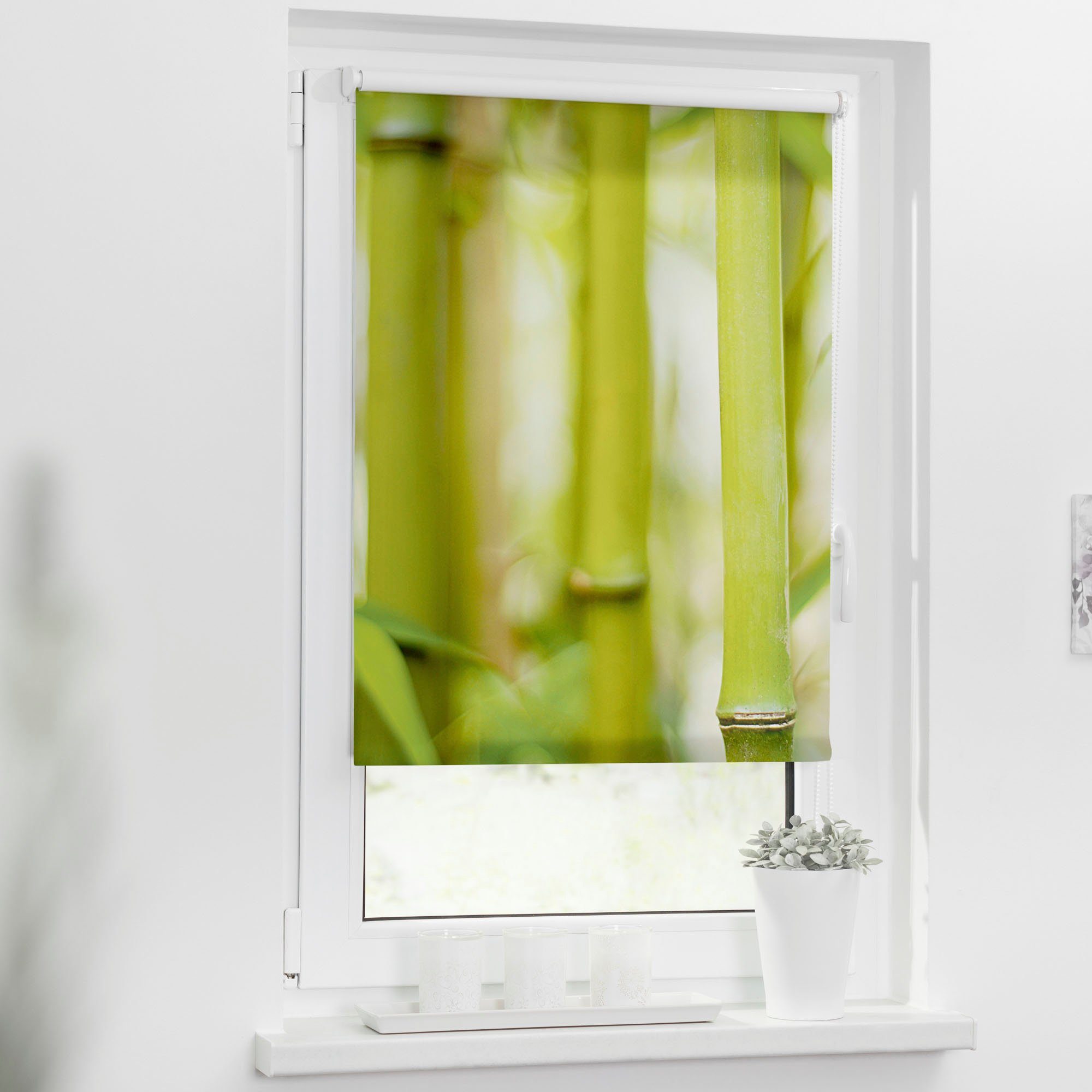 Seitenzugrollo Klemmfix Motiv Bambus, LICHTBLICK ORIGINAL, Lichtschutz, ohn günstig online kaufen