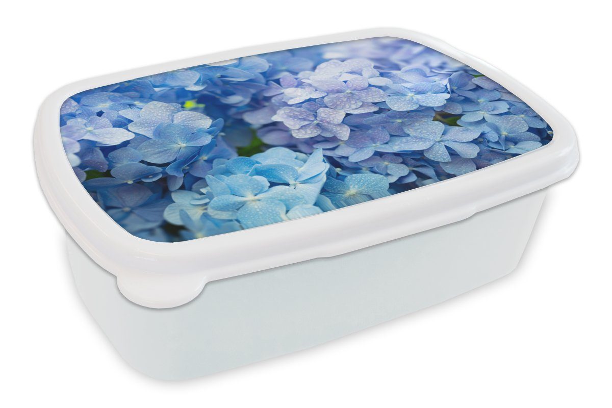 MuchoWow Lunchbox Hortensie - Wassertropfen - Floral - Botanisch - Blau, Kunststoff, (2-tlg), Brotbox für Kinder und Erwachsene, Brotdose, für Jungs und Mädchen weiß