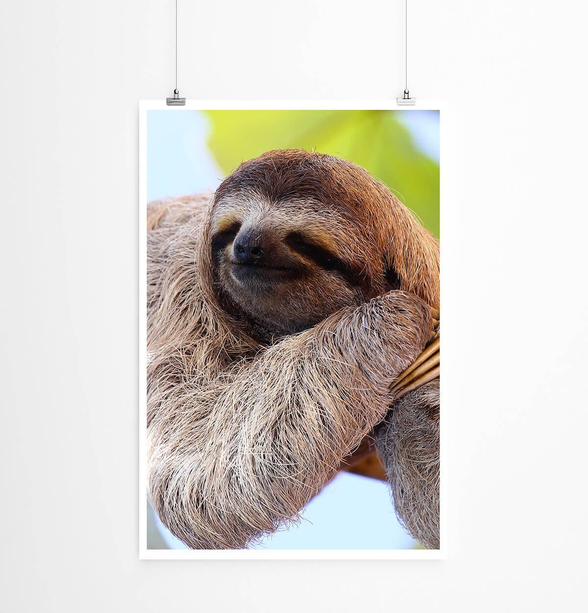 Sinus Art Poster Tierfotografie 60x90cm Poster Glückliches Faultier am Baum hängend