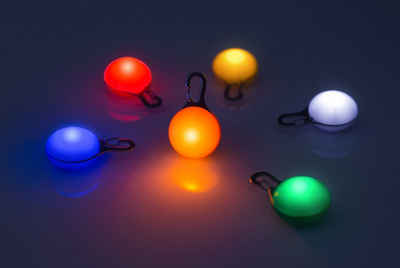 PRECORN Leuchthalsband LED Leuchtanhänger Set für Hunde, Katzen uvm. Hundehalsband, Anhänger
