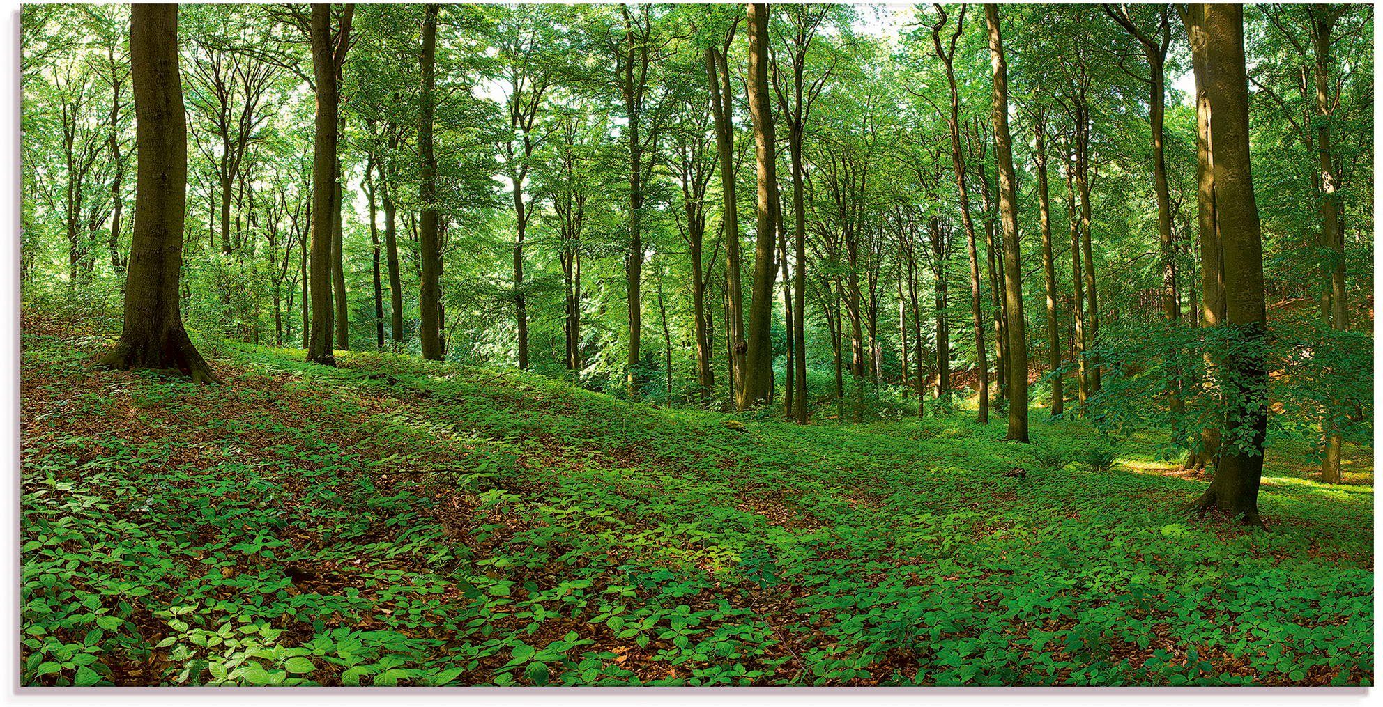 grünen verschiedenen Größen von Glasbild Sommerwald, Panorama Wald St), (1 Artland einem in