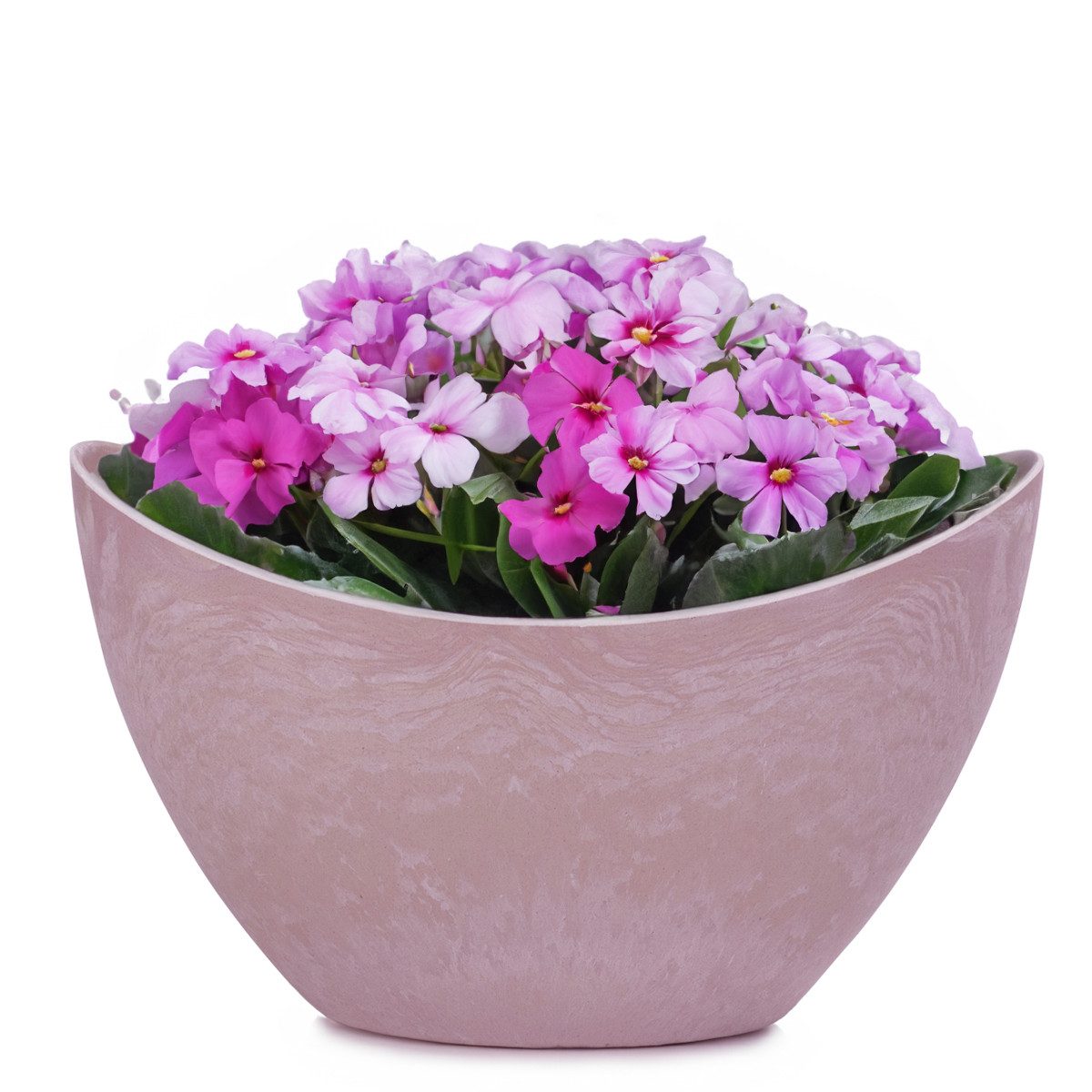 matches21 HOME & HOBBY Blumentopf Pflanzschale günstig online kaufen