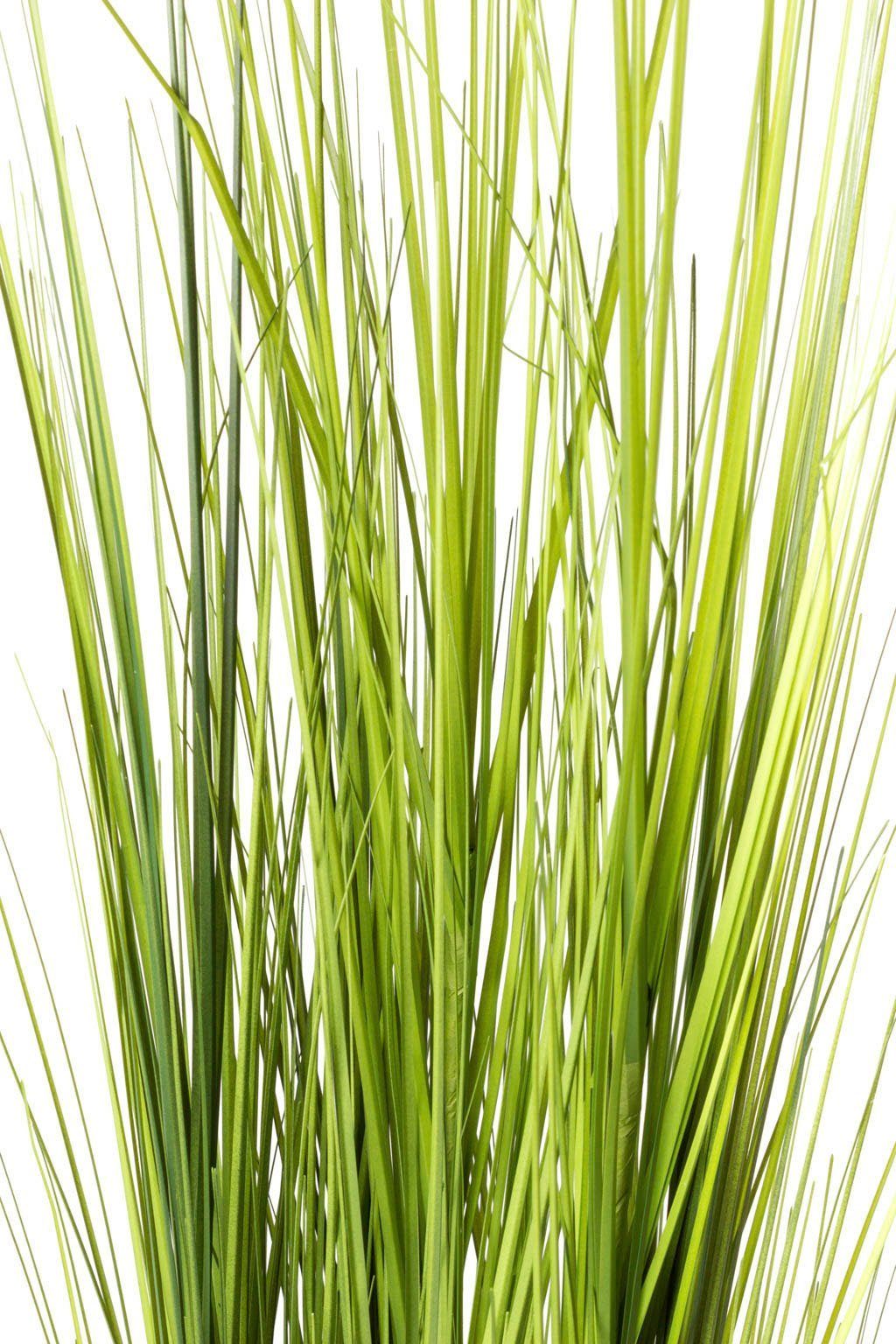 Kunstgras Grasarrangement selbststehend Gras, Botanic-Haus, Höhe günstig online kaufen