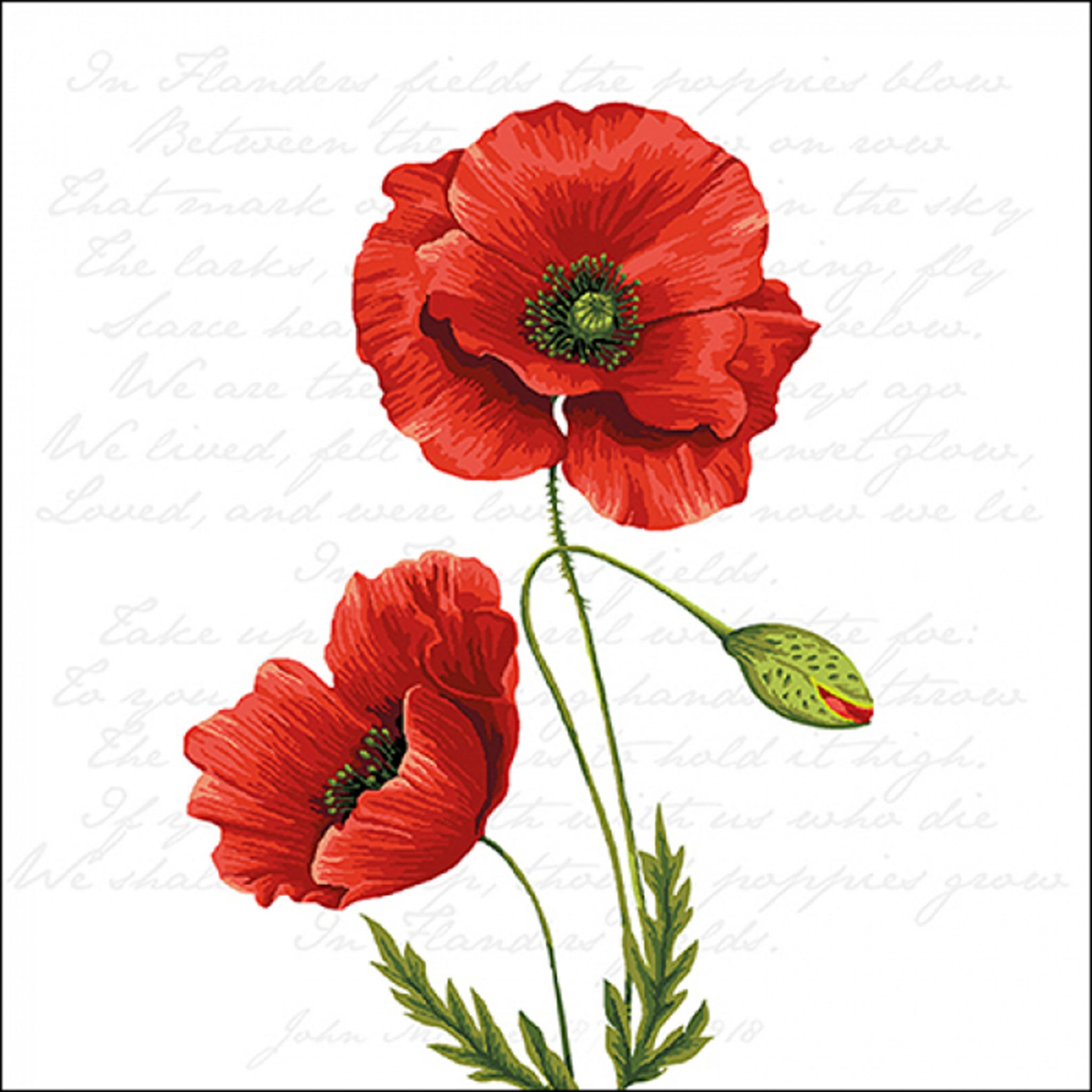 Ambiente Luxury Paper Products Papierserviette, Servietten Papier 33x33cm 3-lag. mit rotem Mohnblumen Motiv 20 Stück