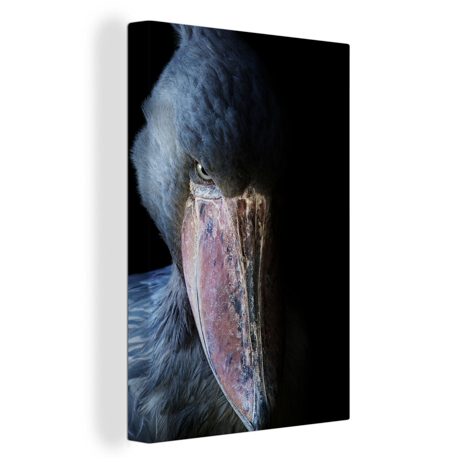OneMillionCanvasses® Leinwandbild Mysteriöser Schuhschnabel, Fotodruck (1 günstig online kaufen